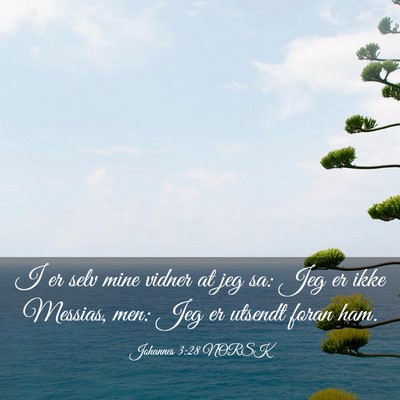 Picture 03 - Johannes 3:28 NORSK - I er selv mine vidner at jeg sa: Jeg er ikke - Bible Verse Picture