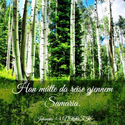 Picture 03 - Johannes 4:4 NORSK - Han måtte da reise gjennem - Bible Verse Picture
