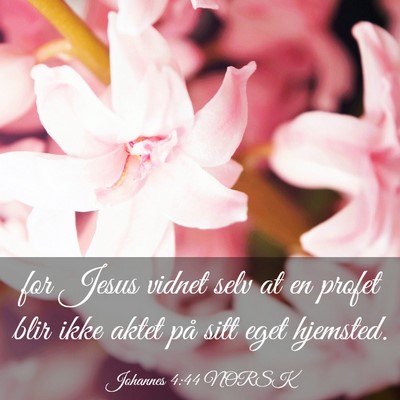 Picture 03 - Johannes 4:44 NORSK - for Jesus vidnet selv at en profet blir ikke - Bible Verse Picture