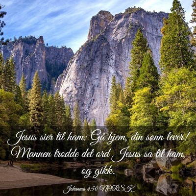 Picture 03 - Johannes 4:50 NORSK - Jesus sier til ham: Gå hjem, din sønn lever! - Bible Verse Picture