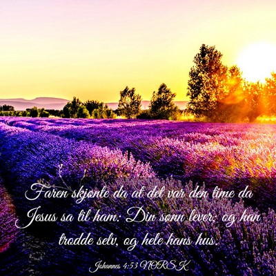 Picture 03 - Johannes 4:53 NORSK - Faren skjønte da at det var den time da Jesus sa - Bible Verse Picture