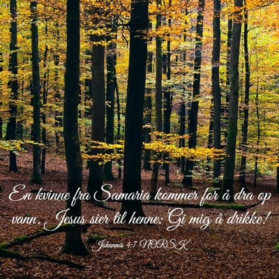 Picture 03 - Johannes 4:7 NORSK - En kvinne fra Samaria kommer for å dra op vann. - Bible Verse Picture