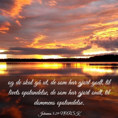Picture 03 - Johannes 5:29 NORSK - og de skal gå ut, de som har gjort godt, til - Bible Verse Picture