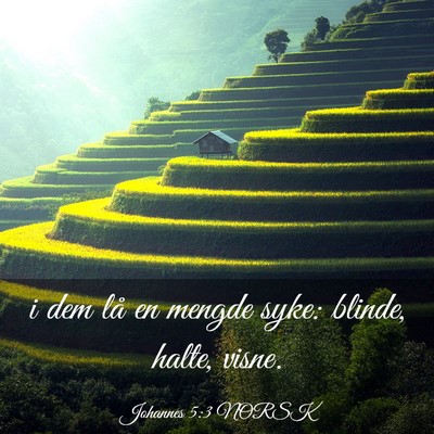 Picture 03 - Johannes 5:3 NORSK - i dem lå en mengde syke: blinde, halte, - Bible Verse Picture