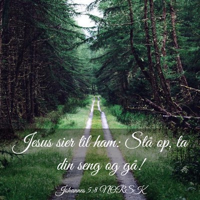 Picture 03 - Johannes 5:8 NORSK - Jesus sier til ham: Stå op, ta din seng og - Bible Verse Picture