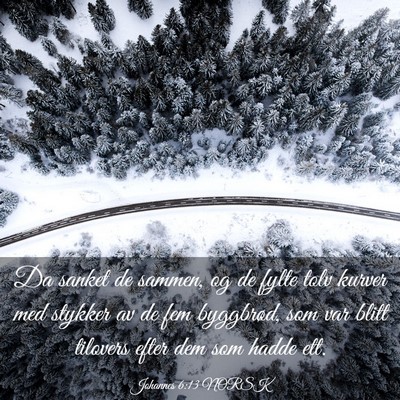 Picture 03 - Johannes 6:13 NORSK - Da sanket de sammen, og de fylte tolv kurver med - Bible Verse Picture