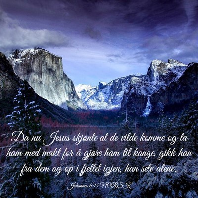 Picture 03 - Johannes 6:15 NORSK - Da nu Jesus skjønte at de vilde komme og ta ham - Bible Verse Picture