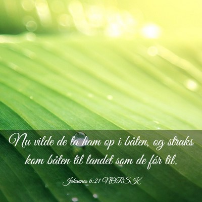 Picture 03 - Johannes 6:21 NORSK - Nu vilde de ta ham op i båten, og straks kom - Bible Verse Picture