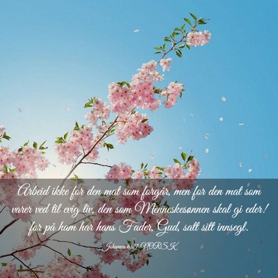 Picture 03 - Johannes 6:27 NORSK - Arbeid ikke for den mat som forgår, men for den - Bible Verse Picture