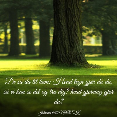 Picture 03 - Johannes 6:30 NORSK - De sa da til ham: Hvad tegn gjør da du, så vi - Bible Verse Picture