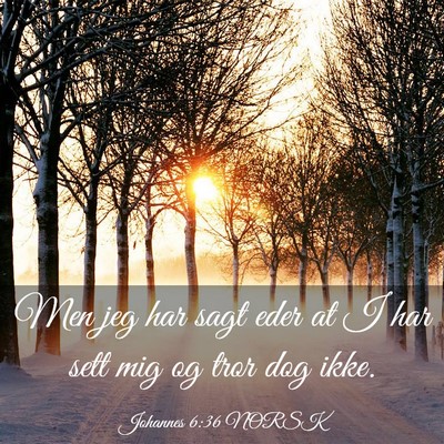 Picture 03 - Johannes 6:36 NORSK - Men jeg har sagt eder at I har sett mig og tror - Bible Verse Picture