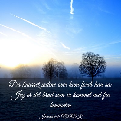 Picture 03 - Johannes 6:41 NORSK - Da knurret jødene over ham fordi han sa: Jeg er - Bible Verse Picture