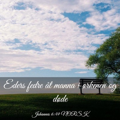 Picture 03 - Johannes 6:49 NORSK - Eders fedre åt manna i ørkenen og - Bible Verse Picture