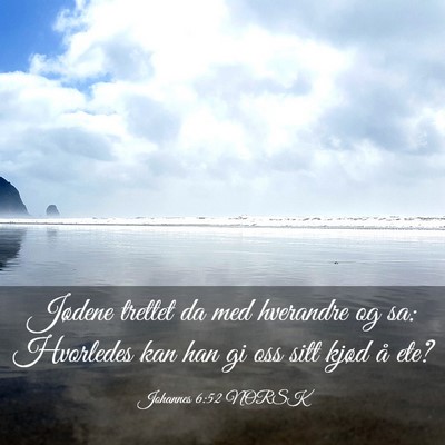 Picture 03 - Johannes 6:52 NORSK - Jødene trettet da med hverandre og sa: Hvorledes - Bible Verse Picture