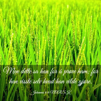 Picture 03 - Johannes 6:6 NORSK - Men dette sa han for å prøve ham; for han - Bible Verse Picture