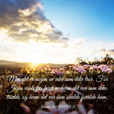 Picture 03 - Johannes 6:64 NORSK - Men det er nogen av eder som ikke tror. For Jesus - Bible Verse Picture