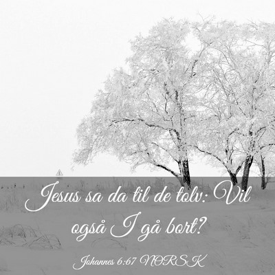 Picture 03 - Johannes 6:67 NORSK - Jesus sa da til de tolv: Vil også I gå - Bible Verse Picture