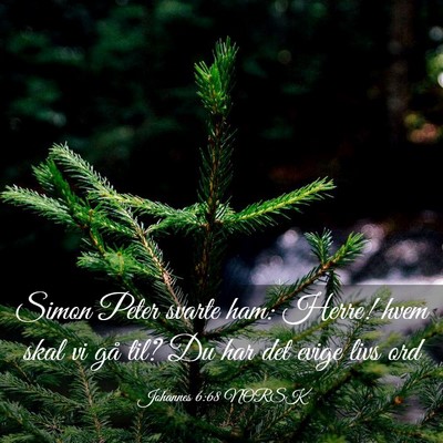 Picture 03 - Johannes 6:68 NORSK - Simon Peter svarte ham: Herre! hvem skal vi gå - Bible Verse Picture