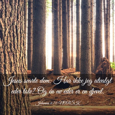 Picture 03 - Johannes 6:70 NORSK - Jesus svarte dem: Har ikke jeg utvalgt eder tolv? - Bible Verse Picture