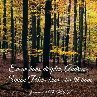 Picture 03 - Johannes 6:8 NORSK - En av hans disipler, Andreas, Simon Peters bror, - Bible Verse Picture