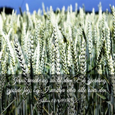 Picture 03 - Johannes 7:21 NORSK - Jesus svarte og sa til dem: En gjerning gjorde - Bible Verse Picture
