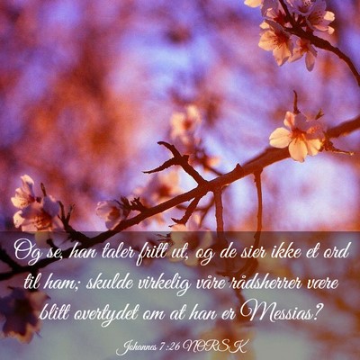 Picture 03 - Johannes 7:26 NORSK - Og se, han taler fritt ut, og de sier ikke et ord - Bible Verse Picture