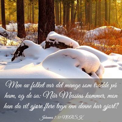 Picture 03 - Johannes 7:31 NORSK - Men av folket var det mange som trodde på ham, - Bible Verse Picture