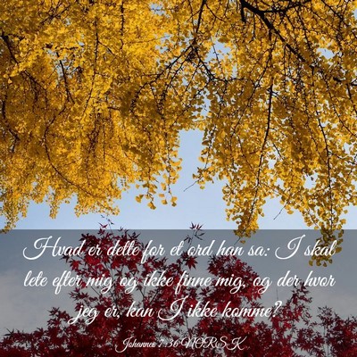 Picture 03 - Johannes 7:36 NORSK - Hvad er dette for et ord han sa: I skal lete - Bible Verse Picture