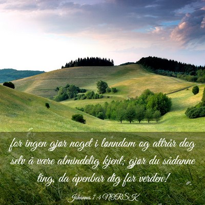 Picture 03 - Johannes 7:4 NORSK - for ingen gjør noget i lønndom og attrår dog - Bible Verse Picture