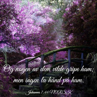 Picture 03 - Johannes 7:44 NORSK - Og nogen av dem vilde gripe ham; men ingen la - Bible Verse Picture