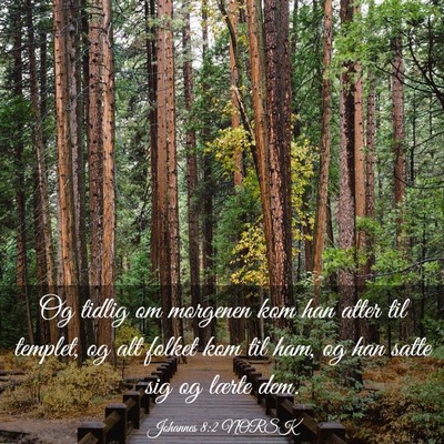 Picture 03 - Johannes 8:2 NORSK - Og tidlig om morgenen kom han atter til templet, - Bible Verse Picture