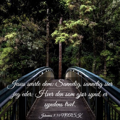 Picture 03 - Johannes 8:34 NORSK - Jesus svarte dem: Sannelig, sannelig sier jeg - Bible Verse Picture