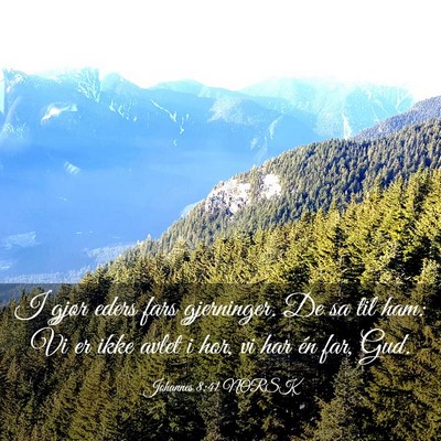 Picture 03 - Johannes 8:41 NORSK - I gjør eders fars gjerninger. De sa til ham: Vi - Bible Verse Picture