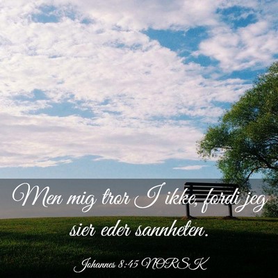 Picture 03 - Johannes 8:45 NORSK - Men mig tror I ikke, fordi jeg sier eder - Bible Verse Picture