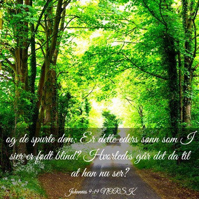 Picture 03 - Johannes 9:19 NORSK - og de spurte dem: Er dette eders sønn som I sier - Bible Verse Picture
