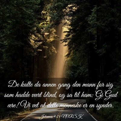 Picture 03 - Johannes 9:24 NORSK - De kalte da annen gang den mann for sig som hadde - Bible Verse Picture