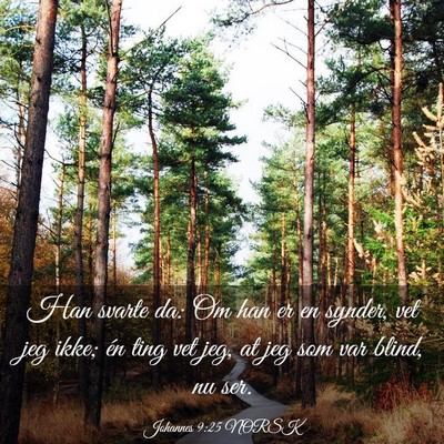 Picture 03 - Johannes 9:25 NORSK - Han svarte da: Om han er en synder, vet jeg ikke; - Bible Verse Picture