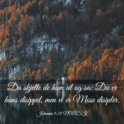 Picture 03 - Johannes 9:28 NORSK - Da skjelte de ham ut og sa: Du er hans disippel, - Bible Verse Picture