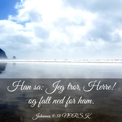 Picture 03 - Johannes 9:38 NORSK - Han sa: Jeg tror, Herre! og falt ned for - Bible Verse Picture
