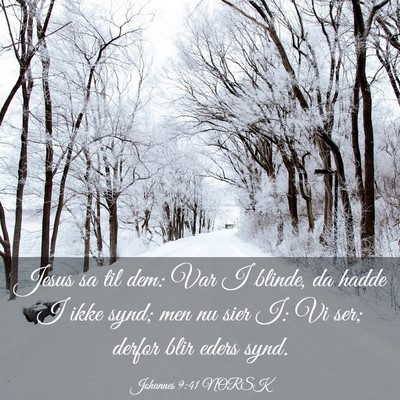 Picture 03 - Johannes 9:41 NORSK - Jesus sa til dem: Var I blinde, da hadde I ikke - Bible Verse Picture