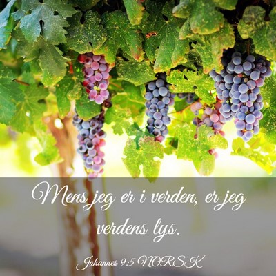 Picture 03 - Johannes 9:5 NORSK - Mens jeg er i verden, er jeg verdens - Bible Verse Picture