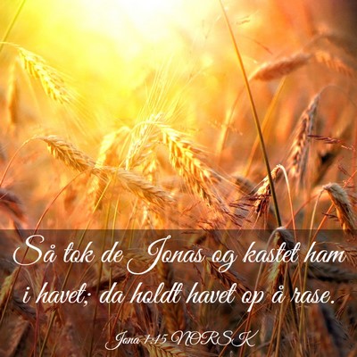 Picture 03 - Jona 1:15 NORSK - Så tok de Jonas og kastet ham i havet; da holdt - Bible Verse Picture