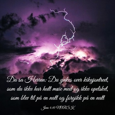 Picture 03 - Jona 4:10 NORSK - Da sa Herren: Du ynkes over kikajontreet, som du - Bible Verse Picture