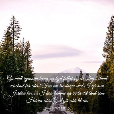 Picture 03 - Josvas 1:11 NORSK - Gå midt igjennem leiren og byd folket og si: Lag - Bible Verse Picture