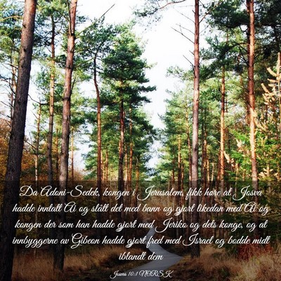Picture 03 - Josvas 10:1 NORSK - Da Adoni-Sedek, kongen i Jerusalem, fikk høre at - Bible Verse Picture