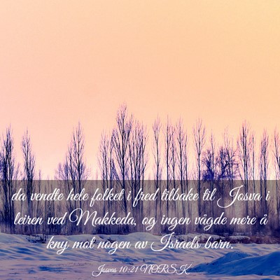 Picture 03 - Josvas 10:21 NORSK - da vendte hele folket i fred tilbake til Josva i - Bible Verse Picture