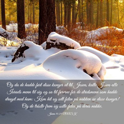 Picture 03 - Josvas 10:24 NORSK - Og da de hadde ført disse konger ut til Josva, - Bible Verse Picture
