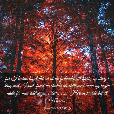 Picture 03 - Josvas 11:20 NORSK - for Herren laget det så at de forherdet sitt - Bible Verse Picture