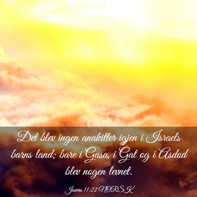 Picture 03 - Josvas 11:22 NORSK - Det blev ingen anakitter igjen i Israels barns - Bible Verse Picture