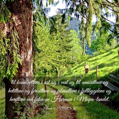 Picture 03 - Josvas 11:3 NORSK - til kana'nittene i øst og i vest og til - Bible Verse Picture